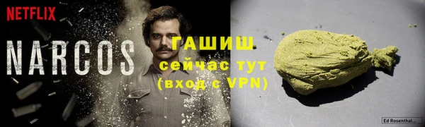 сатива Белокуриха