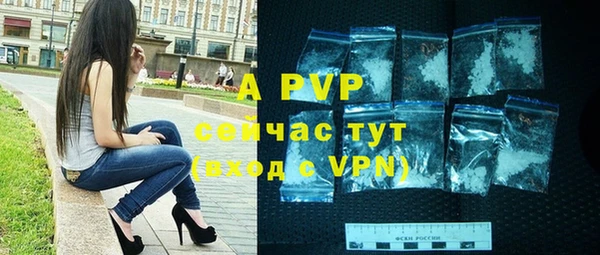 сатива Белокуриха