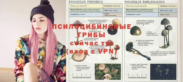 сатива Белокуриха