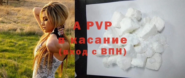 сатива Белокуриха