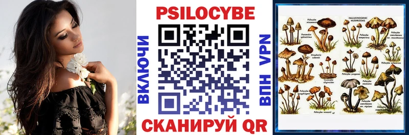 где можно купить наркотик  Бугульма  Галлюциногенные грибы MAGIC MUSHROOMS 