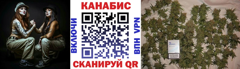 Бошки Шишки планчик Бугульма
